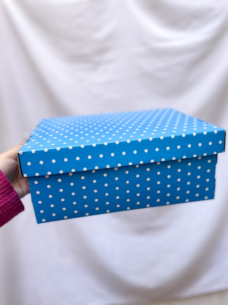 CAJA FANTASIA ESCOLAR (L97020)