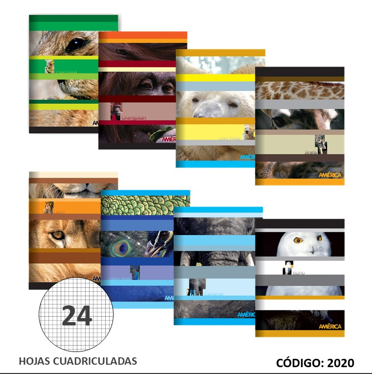 CUADERNO 16x21 AMERICA TAPA BLANDA CUADRICULADO X24hjs.  (L2020)