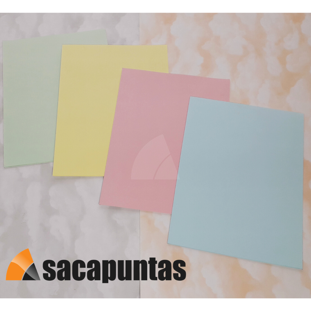 CARPETA CARTULINA A4 2 SOLAPAS (L12460)