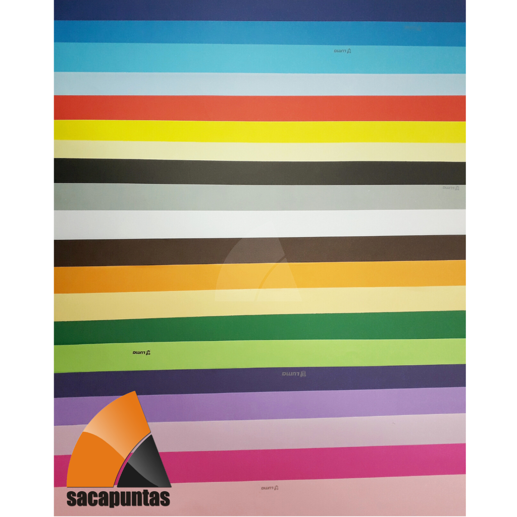 CARTULINA COLOR (L39020VP)