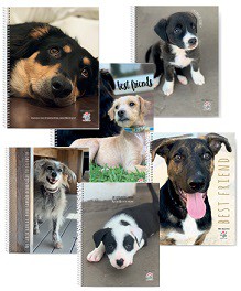 CUADERNO MIS APUNTES 29/7 CON ESPIRAL RAYADO/CUADRICULADO X80hjs (L20652)