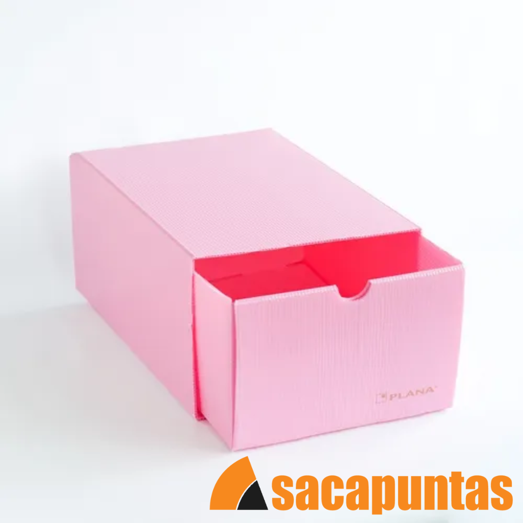 CAJA PLANA ORGANIZADORA 32X22X14 CM (L208090)