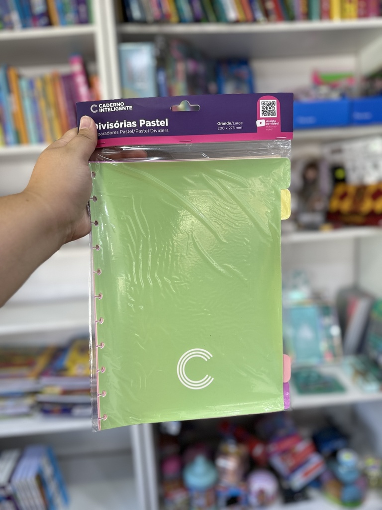 DIVISORES PASTEL GRANDE X4 (M123)