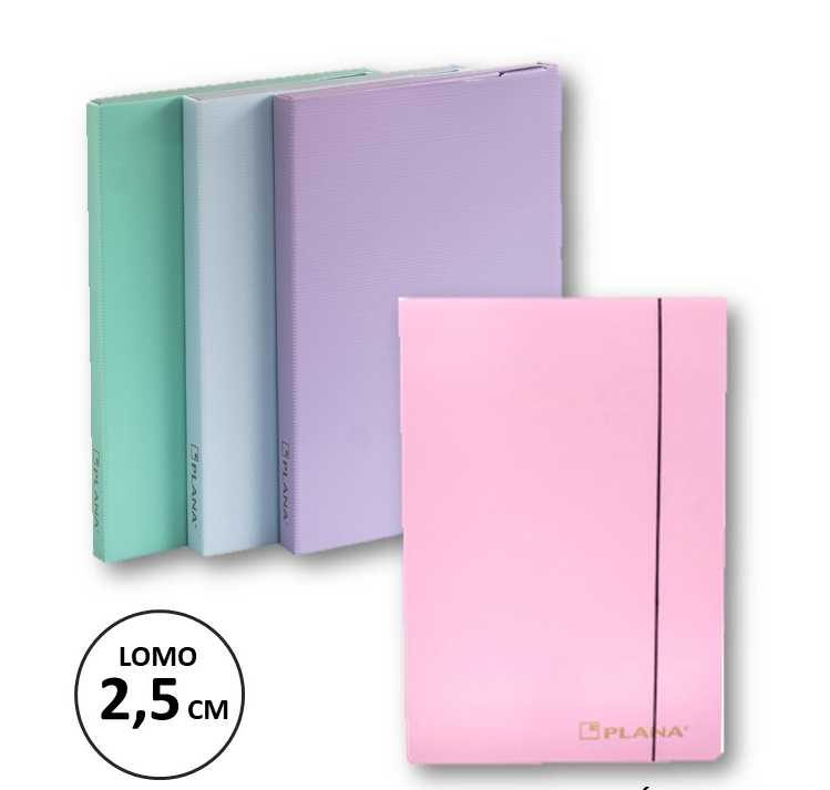 CAJA ARCHIVO PLASTICA 2.5CM. PASTEL (L208110)