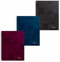 CUADERNO LEDESMA 29/7 RAYADO X80hjs. (L10878)