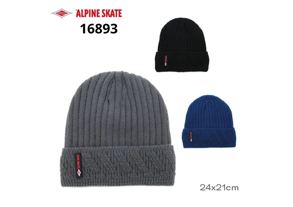 GORRO ALPINE SKATE (R26346)