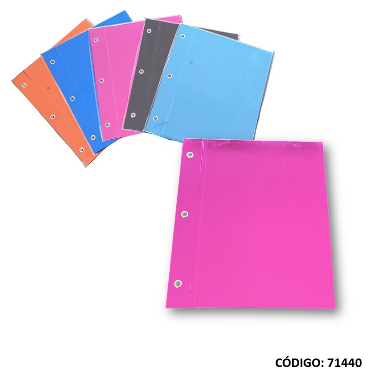 CARPETA N3 CARTONE REXON METALLIC (L71440)