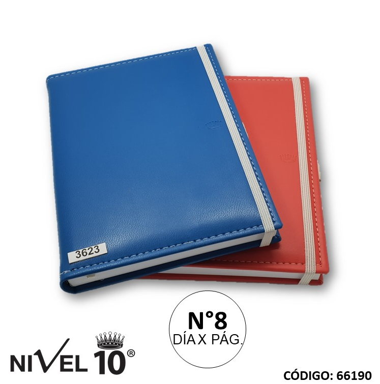 AGENDA 2026 NIVEL 10 N8 DIA POR PAGINA PLUS (L66190)