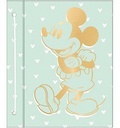 CARPETA MOOVING N3 CON CORDON LICENCIA (L13017)
