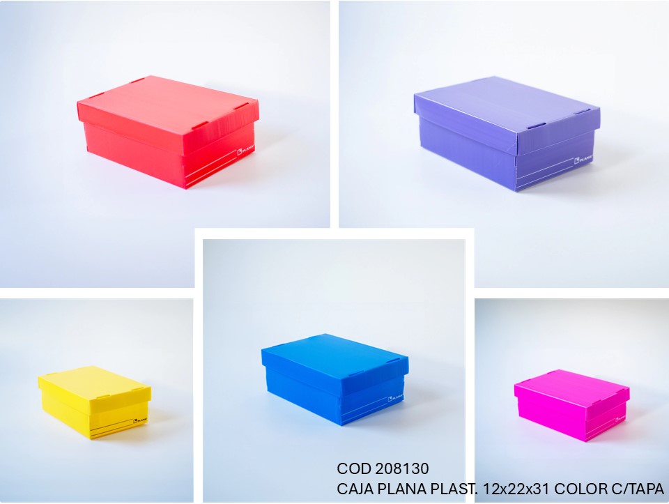 CAJA PLANA PLASTICA 12X22X31 COLOR CON TAPA (L208130)