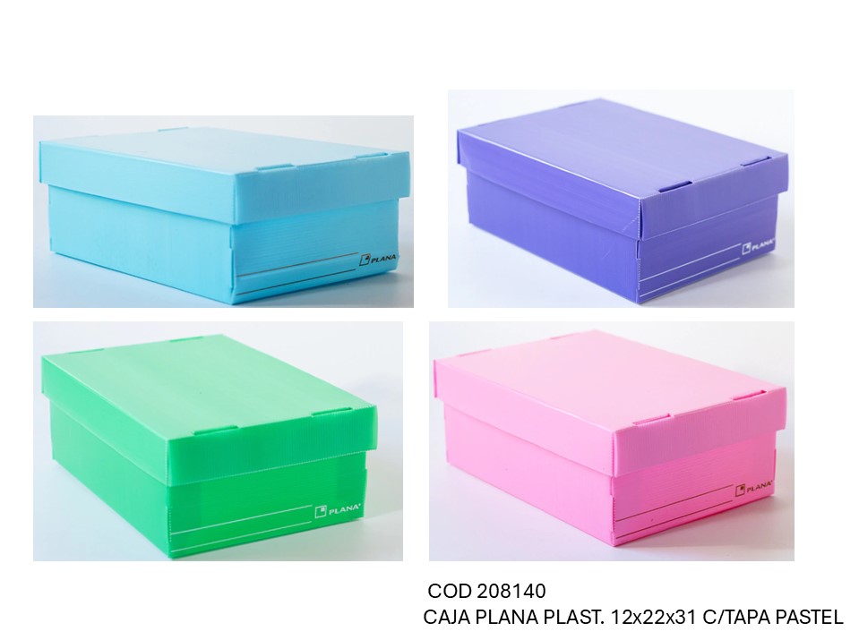 CAJA PLANA PLASTICA 12X22X31 PASTEL CON TAPA (L208140)