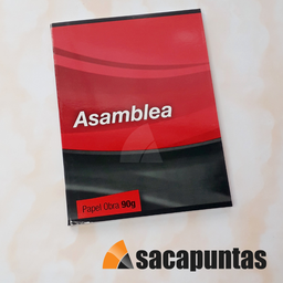 [L158130] CUADERNO ASAMBLEA TAPA BLANDA RAYADO x 48hs. (L158130)