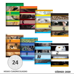 [L2020] CUADERNO 16x21 AMERICA TAPA BLANDA CUADRICULADO X24hjs.  (L2020)