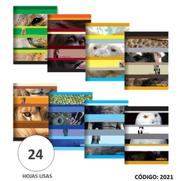 [L2021] CUADERNO TAPA BLANDA AMERICA LISO X24hjs. (L2021)