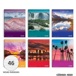 [L4500] CUADERNO 16x21 AVON ESPIRAL CUADRICULADA x 46hj. (L4500)