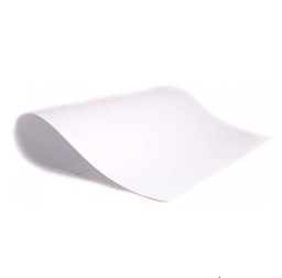CARTULINA COLOR (L39020)