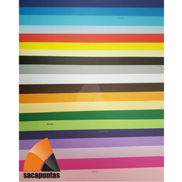CARTULINA COLOR (L39020VP)