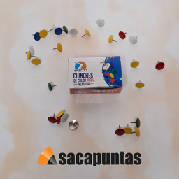 [L321610] CHINCHES COLOR x 100 UNIDADES (L321610)