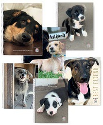 [L20652] CUADERNO MIS APUNTES 29/7 CON ESPIRAL RAYADO/CUADRICULADO X80hjs (L20652)