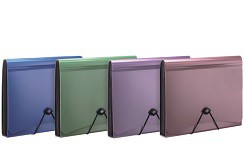 [L23215] CLASIFICADOR METALIZADO A4 (L23215)