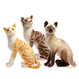 [G4523] GATO SIAMES ECHADO 20CM. (G4523)